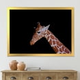 thumbnail image 3 of Designart 'Portrait of A Giraffe On Black Background I' Farmhouse Framed Art Print, 3 of 4