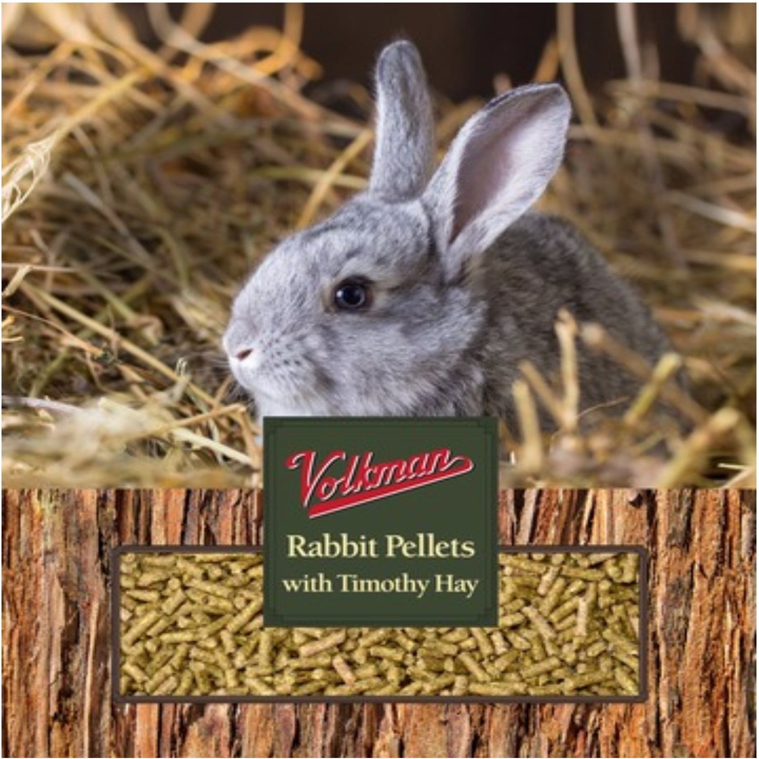 timothy grass seed for rabbits