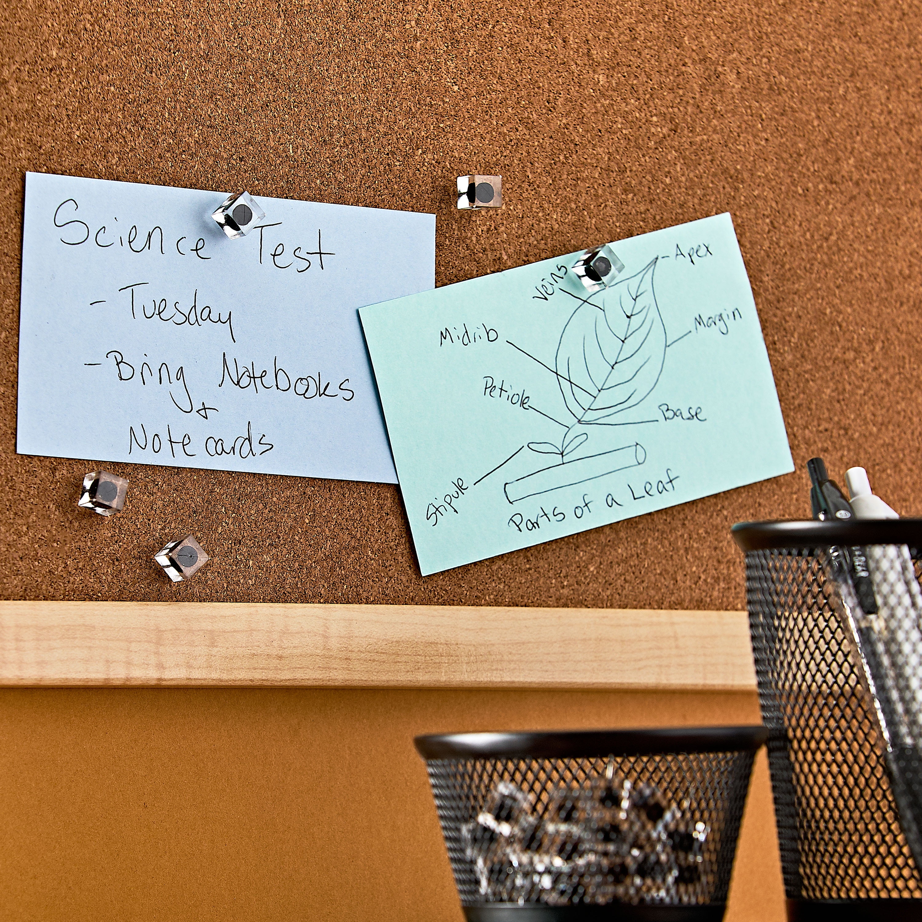 Pen + Gear Square Pushpins for Walls & Bulletin Boards , Black, Pack of 30