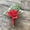 Watermelon Red, variant on Artificial Flowers,Fabric Bridal And Groom Corsage Rose Small Bud Silk Flower Before Wedding