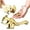 Gold 2PCS, variant on Nut Cracker,1 PCS Squirrel Shape Nut Cracker Tool Zinc Alloy Pecan Cracker with Non Handle & Non- Bottom for Breaking All Nuts