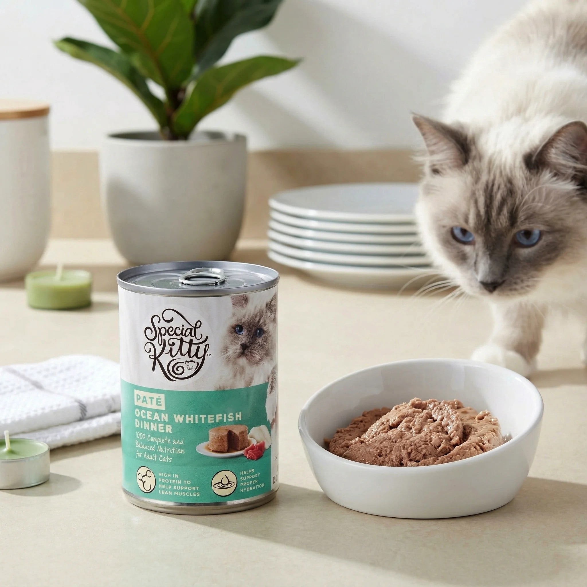 (6 pack) Special Kitty Ocean Whitefish Dinner Pate Wet Cat Food, 13 oz can