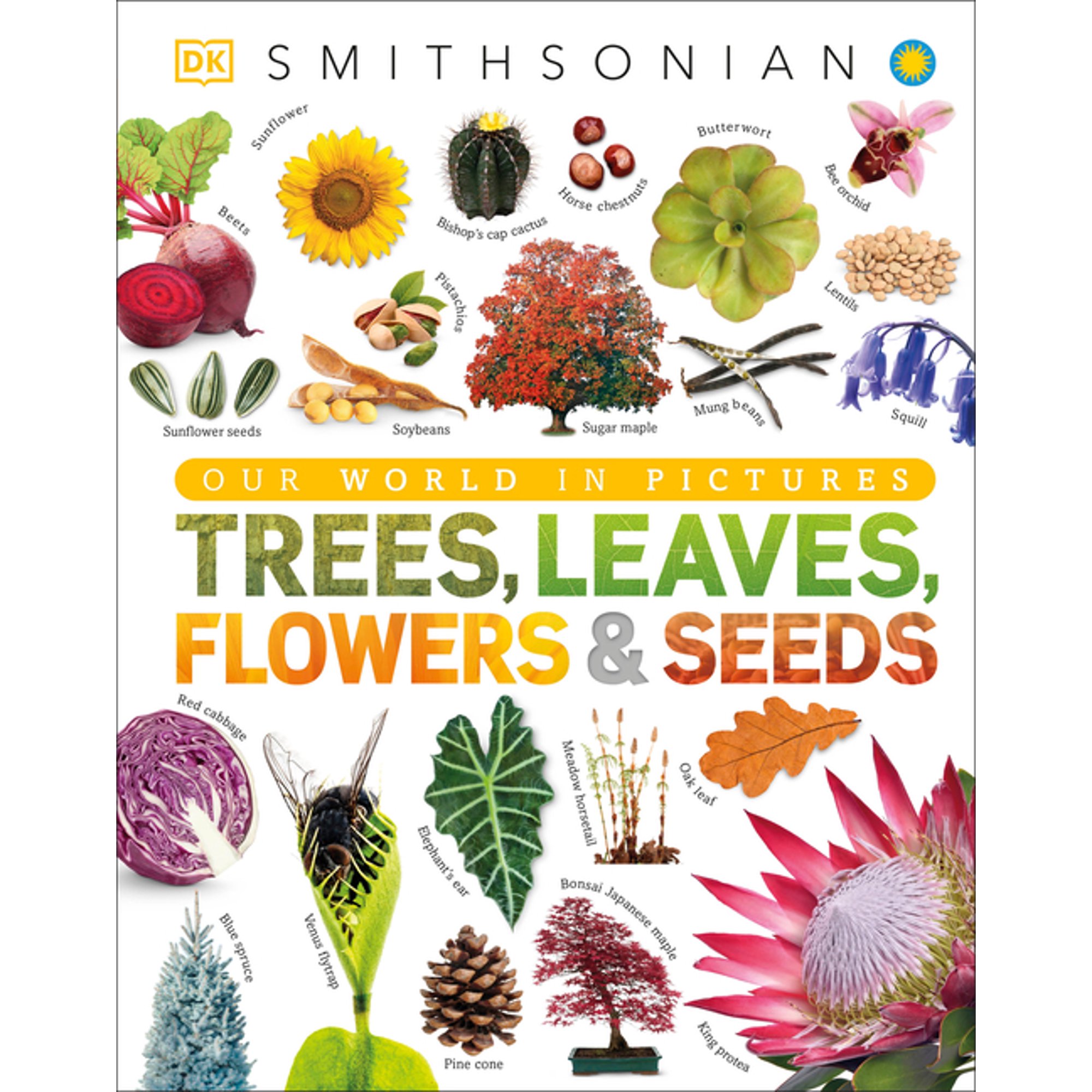 DK Our World in Pictures Trees, Leaves, Flowers & Seeds: A Visual Plant Encyclopedia for Kids, (Hardcover)