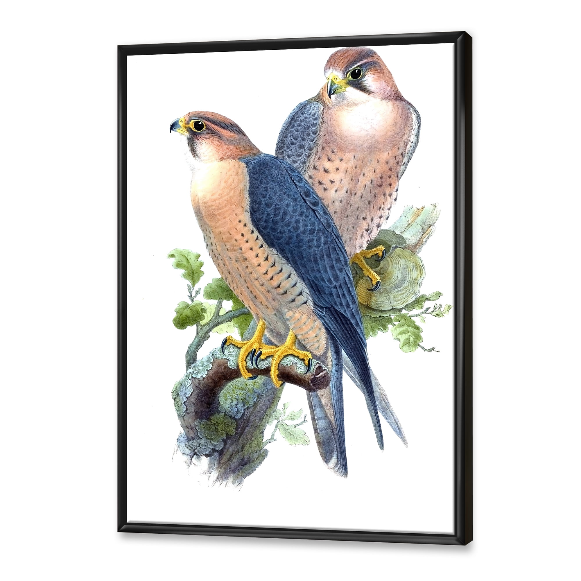 Designart 'Ancient Birds II' Traditional Framed Canvas Wall Art Print