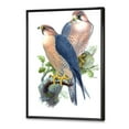 thumbnail image 4 of Ancient Birds II 12 in x 20 in Framed Painting Canvas Art Print, by Designart, 4 of 5