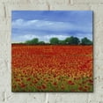 thumbnail image 5 of Epic Art 'Field of Poppies II' by Tim O'Toole, Acrylic Glass Wall Art, 12"x12", 5 of 7