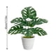 thumbnail image 3 of Decoración artificial de plantas artificiales de interior Monstera Deliciosa Bonsai - Árbol de vegetación sintética realista, ramas ajustables, adorno de escritorio de bajo mantenimiento, 3 of 6