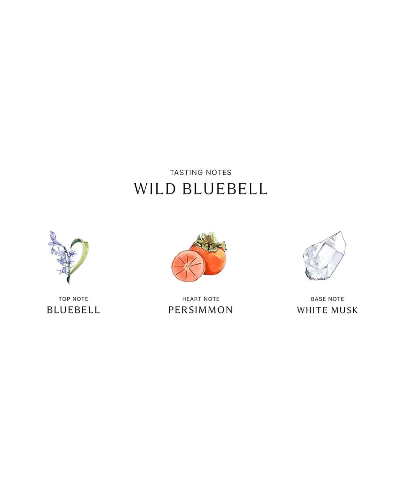 Jo Malone Wild Bluebell Cologne Spray 3.4oz 100ml 2023 Limited Edition