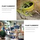 thumbnail image 3 of Colorful Plastic Plant Pots Planter Thickening Resin Flower Nursery Pot Garden Plant Pots Flower Pot with Pallet Large (Apricot), 3 of 6