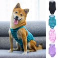 thumbnail image 1 of Recovery Suit for Dogs - Protects Wounds  Sutures  Skin Conditions  Light Incontinence  When in Heat  after Surgery Spay/Neuter, 1 of 6