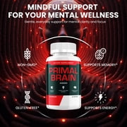 Primal Brain Capsules – PrimalBrain Natural Blend Memory Focus Support Supplement, 1 Pack, 60 Capsules