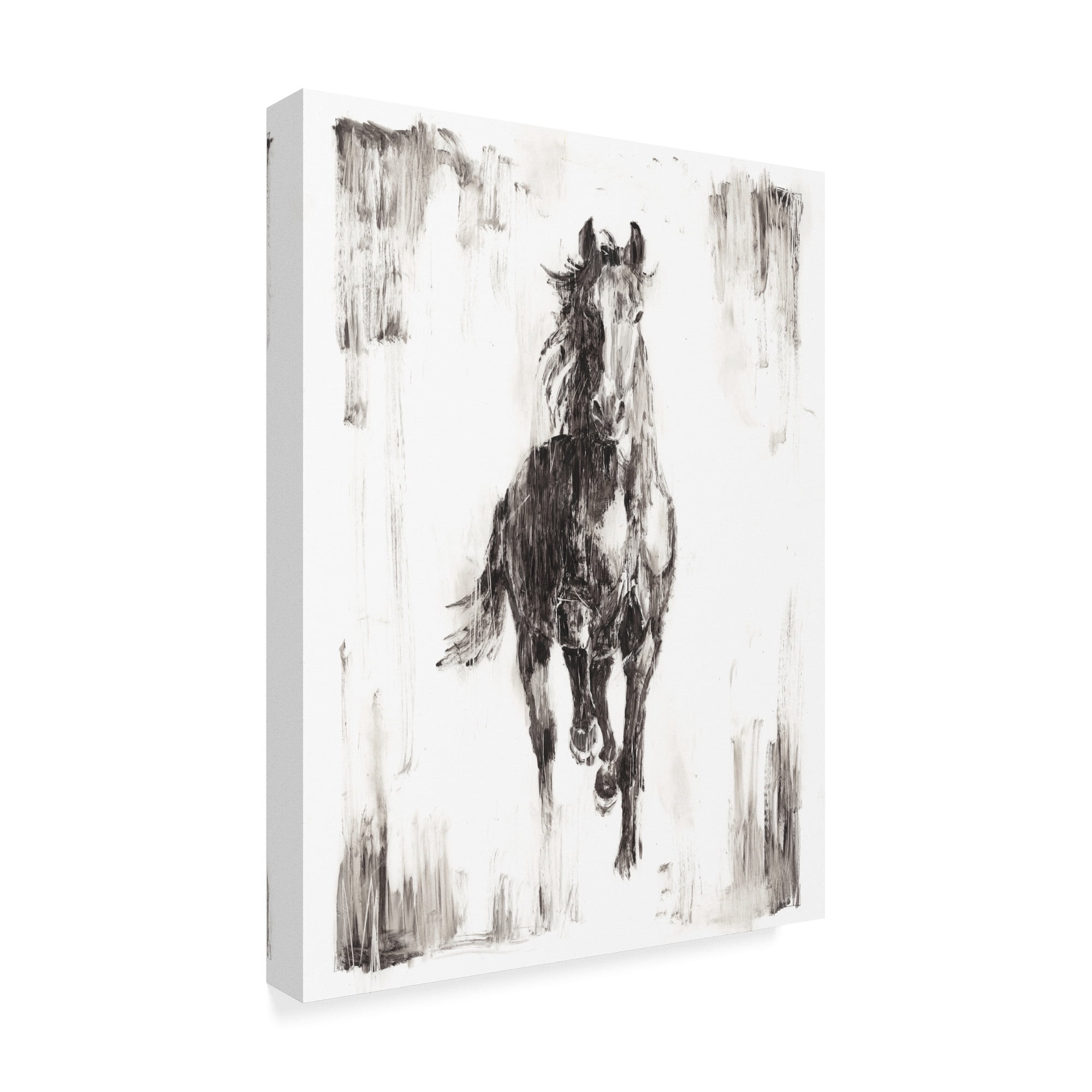 Trademark Fine Art 'Rustic Black Stallion I' Canvas Art by Ethan Harper