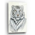 thumbnail image 1 of Epic Art 'White Tiger I' by Tim O'Toole, Acrylic Glass Wall Art, 12"x16", 1 of 2