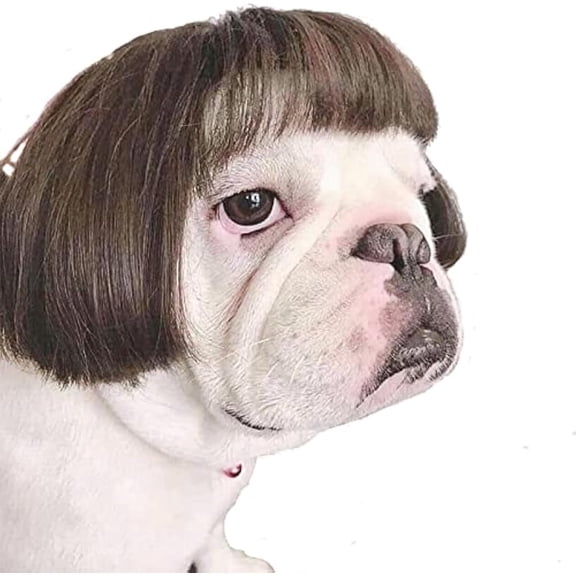 Funny Dog Cat Cosplay Wig,Pet Wigs for Halloween, Christmas, Parties, Festivals, Dog Wigs for Small Medium and Large Dogs