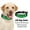Green, variant on Leadleds Digital Collar Programmable LED Pet Safety Collar, Red, Small/Medium/Large