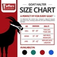 thumbnail image 2 of Jeffers Livestock Goat Halter, Small, Royal Blue – Safe & Adjustable for Milking, Training, and Travel; Ideal for Dairy, Show Goats, and Small Livestock; - Protection & Accessories for Goats., 2 of 7