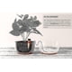 thumbnail image 2 of Drip Irrigation Set (10 Pieces) - Probe For Self-watering Domestic Plants,, 2 of 4