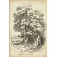 thumbnail image 2 of Harding, J.D. 13x18 White Modern Wood Framed Museum Art Print Titled - Noble Tree II, 2 of 4
