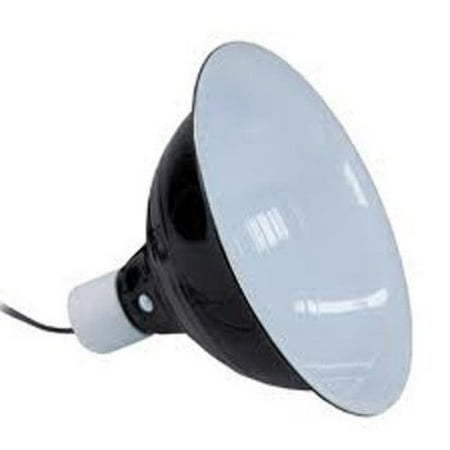 zilla reptile terrarium heat lamps habitat lighting dome blk 8 5