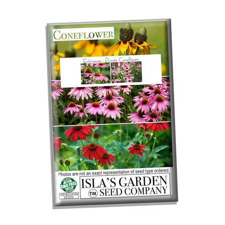 Echinacea Purple Coneflower Flower Seeds, 750 Seeds Per Packet