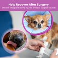 thumbnail image 4 of Adjustable Dog Cone for Small, Medium, and Large Dogs - Ideal for Post-Surgery Recovery, Prevents Licking - Gentle and Comfortable Pet Neuter Cone Alternative - Light Recovery Collar, 4 of 4