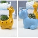 thumbnail image 3 of FUTUREORYY Maceta De Resina Para Plantas Suculentas Animal Color Hogar, 3 of 8