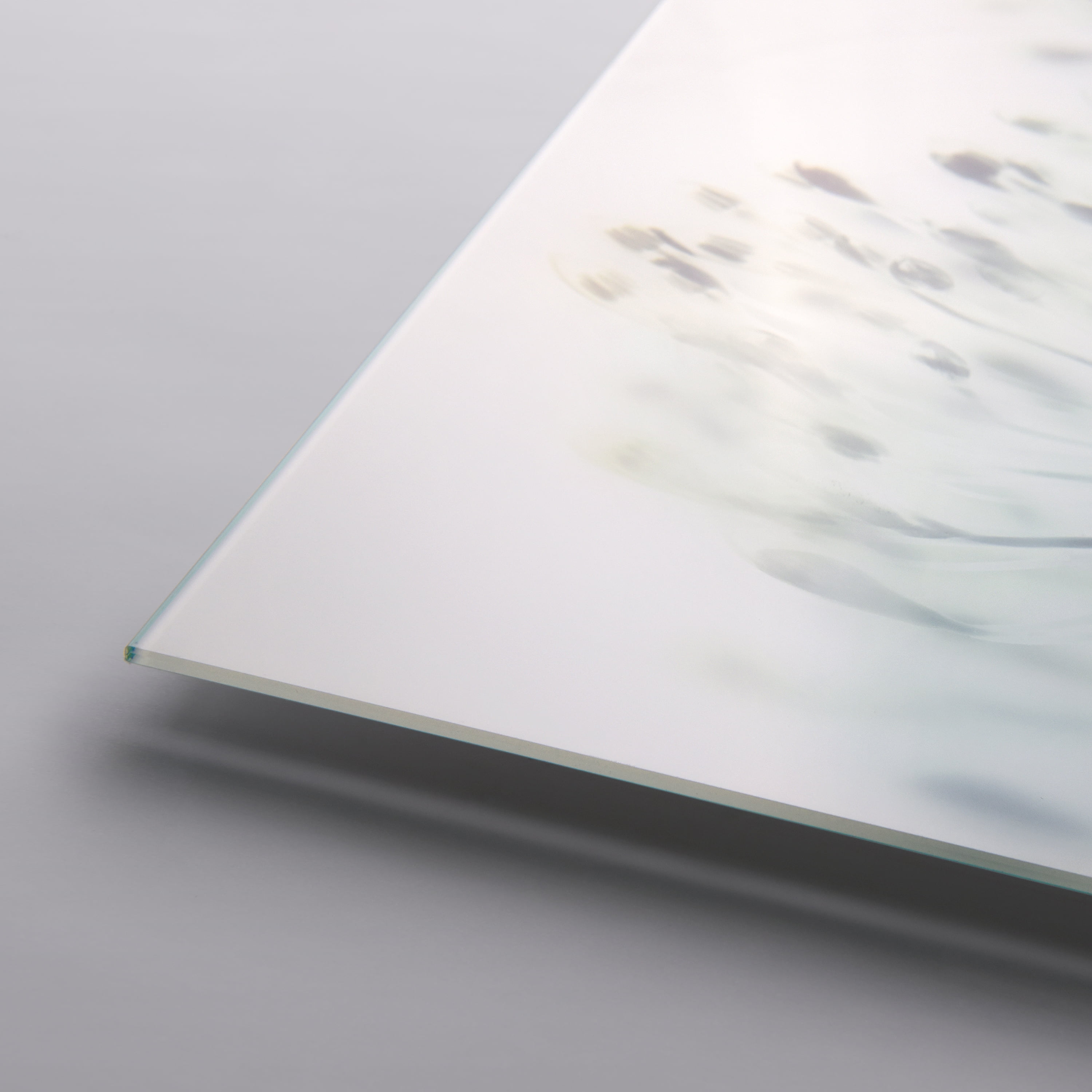 Unfocused Beauty 2 Frameless Free Floating 24 in x 24 in Photography Art Prints, by Empire Art