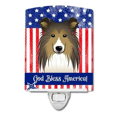 Caroline's Treasures BB2172CNL Flag and Sheltie Ceramic Night Light, 6x4x3", multicolor