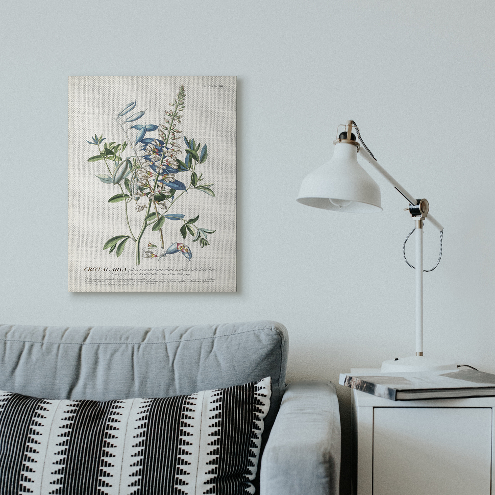 Stupell Industries Botanical Plant Illustration Flowers And Leaves Vintage Design Canvas Wall Art by Unknown