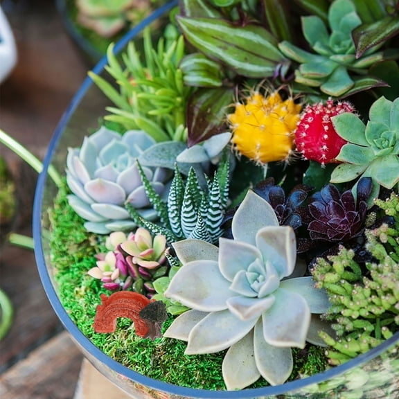 HEMOTON 8pcs Dollhouse Arc Bridge Miniatures Fairy Garden Figurines Craft Arch Bridge Terrarium Kit Dollhouse Diy Outdoor Decoration Plant Pot Ornaments