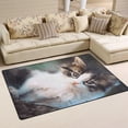 thumbnail image 2 of Coolnut Lightweight Carpet Mats, 31 x 20 inches Area Soft Rugs Floor Mat Doormat Decoration for Rooms Entrance Kitten Staring, 2 of 6