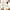 White, variant on FNFYFH Womens Causal Home Shorts Trendy Drawstring Elastic Waist Button Shorts Summer Comfy Cycling Hiking Athletic Shorts Loose Fit Breathable Cotton Linen Pants for Women Prime Clearance Deals