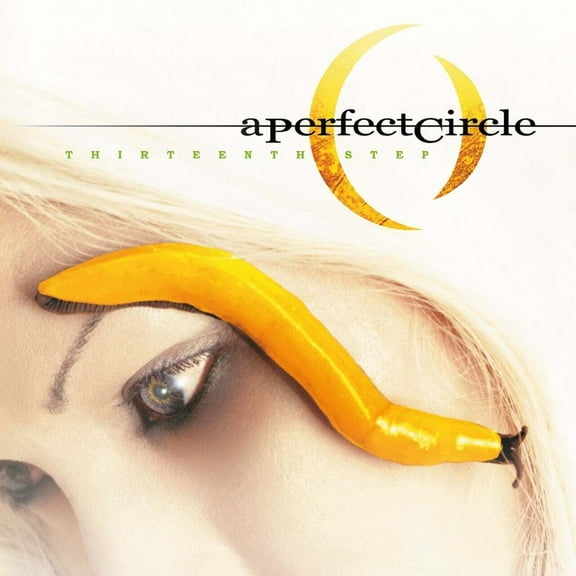 A Perfect Circle - Thirteenth Step - Music & Performance - Vinyl