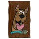 thumbnail image 2 of Scooby Doo Scooby Happy Silky Touch Super Soft Throw Blanketfsgyde48, 2 of 5