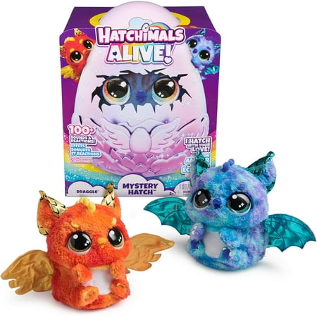 MYSTERY HATCH DRAGGLE