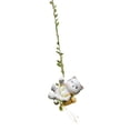 thumbnail image 3 of Almencla Swinging Figurine Ornament Animal Garden Statue for Patio Entrance Courtyard Cat, 3 of 8