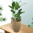 thumbnail image 4 of Maceta decorativa hecha a mano, cesta de almacenamiento de flores, maceta tejida de paja, 4 of 5