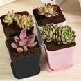 thumbnail image 5 of Juego de 12 piezas de maceta cuadrada de plástico, maceta suculenta, plántulas, maceta cuadrada pequeña, maceta de plástico para plantas Vhermosa CPB-US-DYP14-7, 5 of 5