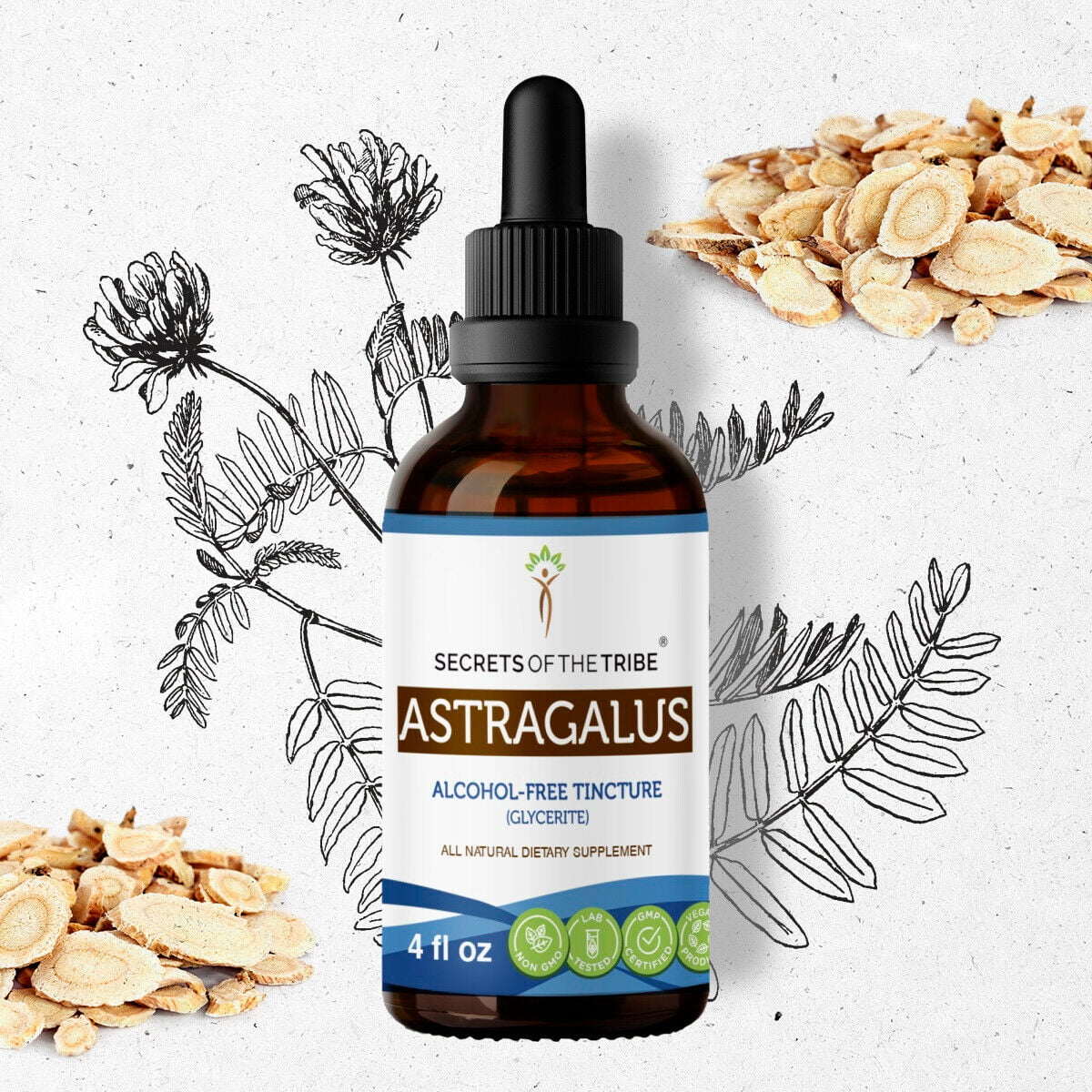 Astragalus Tincture AlcoholFREE Extract, Organic Astragalus