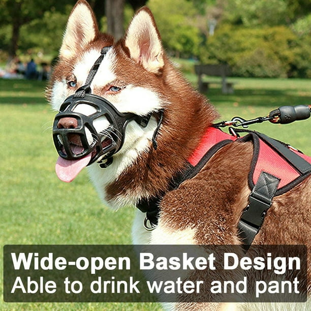 Muzzles near me cheap