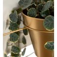 thumbnail image 7 of Kate and Laurel Opyd Modern Hanging Hoop Planter, 19.5 Inch Diameter, Gold, Sophisticated Floating Planter with Pot, 7 of 7