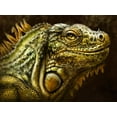 thumbnail image 2 of LaMontagne, Patrick 14x12 Gold Ornate Wood Framed with Double Matting Museum Art Print Titled - Iguana, 2 of 4