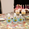 Splash Blast, Wild Berry Flavor Water Beverage, 8 Fl Oz Plastic Bottles