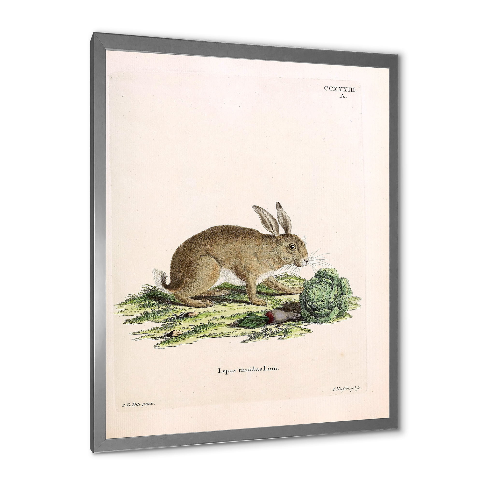 Designart 'Ancient Rabbits In Earth Tones' Farmhouse Framed Art Print