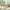 Natural, variant on Twin Size Classic Floor Bed with Full-Length Guardrail and Small Door, Kids Toddler Bed With Solid Wood Floor Bed Frame for Kids, Teens, Adults, Noise Free, No Box Spring Needed, Walnut