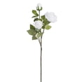 thumbnail image 1 of Vickerman FA186556 29 Po Crème Véritable Tige Rose, 1 of 3