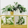 thumbnail image 4 of 4 piezas de enrejado de plantas de hierro para plantas en macetas de interior Mini soportes dorados para plantas trepadoras de interior a prueba de herrumbre para plantas de interior estaca de soporte, 4 of 11