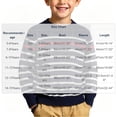 thumbnail image 3 of Guluxicc Kids Boys Crew Neck Striped Cotton Sweater Long Sleeve Knit Pullover Sweaters Fall Winter Casual Tops 5-15 Years, 3 of 8