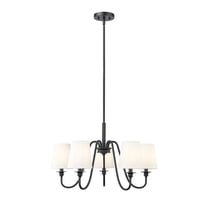 Z-Lite 5 Light Chandelier