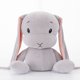 thumbnail image 1 of 2023 Ins / Soft / Cute / Rabbit Plush Toy / Lucky Rabbit Doll with Long Ears / Children's Birthday Giftgrey30cm Deng Xun unisex, 1 of 2